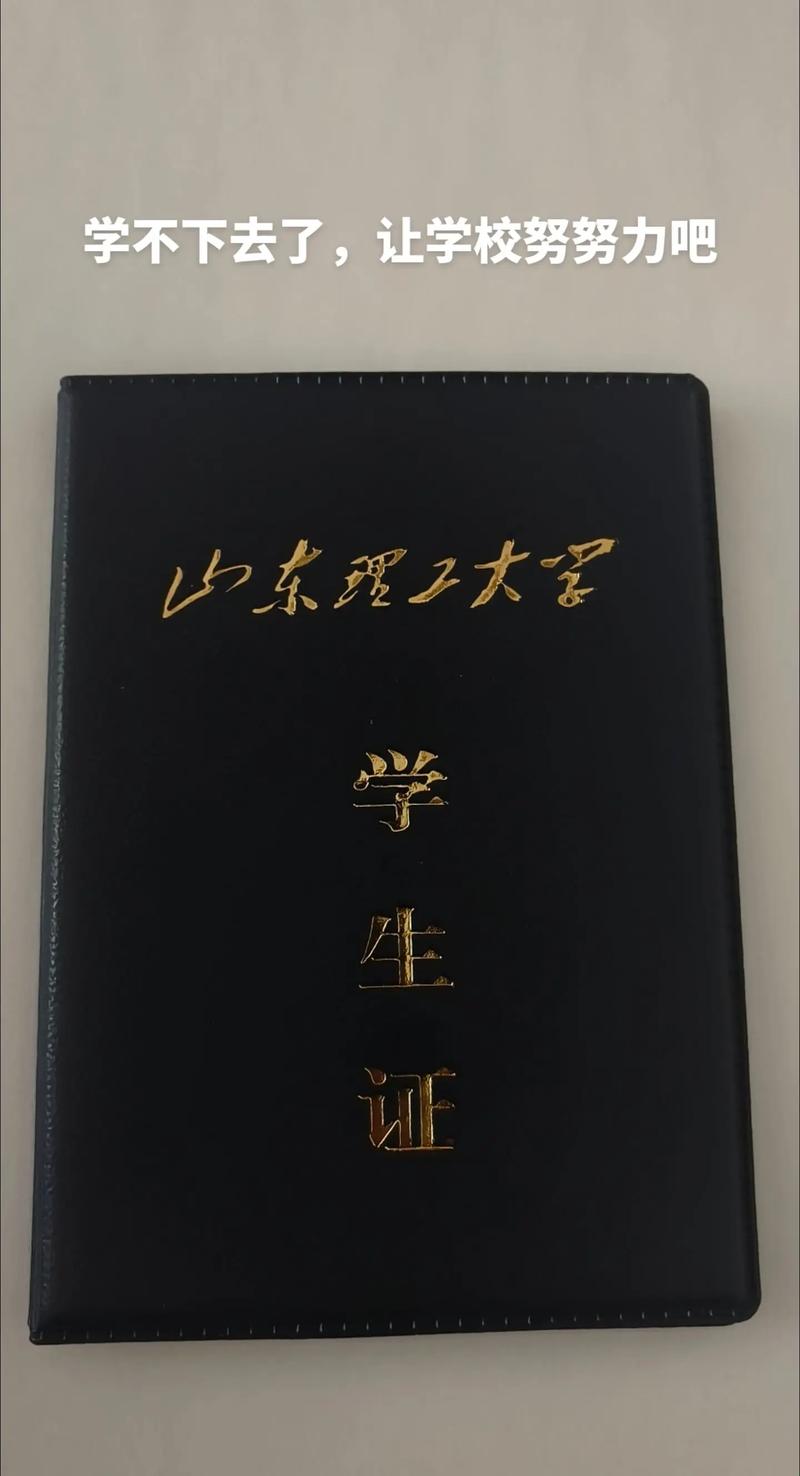 学不下去了爆改一下我的学校学生证 山东理工大学 幻想