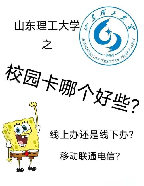 山东理工大学网上校园卡：全方位解析与实用指南