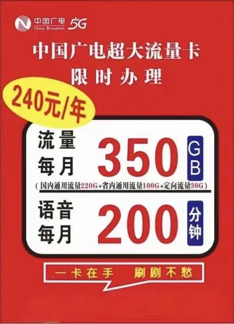 在凤阳办电话卡一定要选广电青春校园卡 20元每月350g流