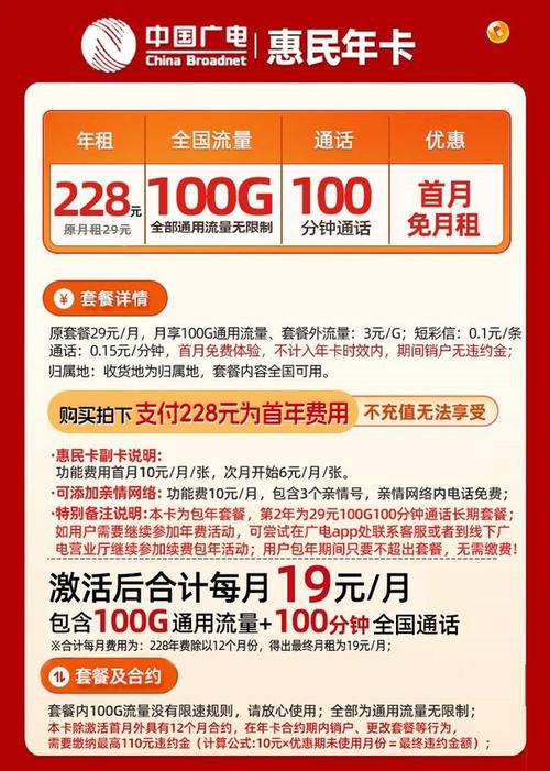 中国广电 惠民年卡 228元包年19元月100g通用流量 100分钟通话 副卡