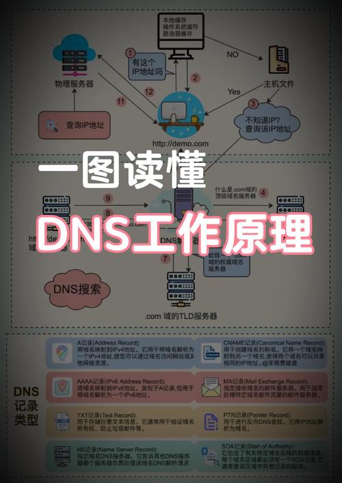 一图读懂dns域名解析过程