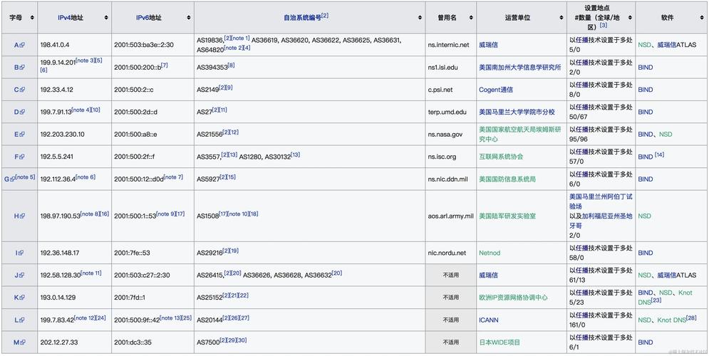 dns服务器