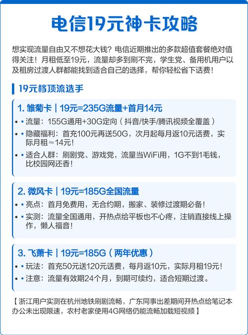 19元档套餐 1 雏菊卡155g通用 30g定向流量首充100元送