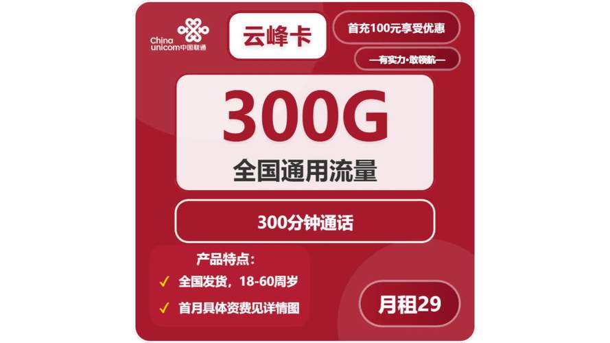 29元竟有300g流量学生党打工族速抢