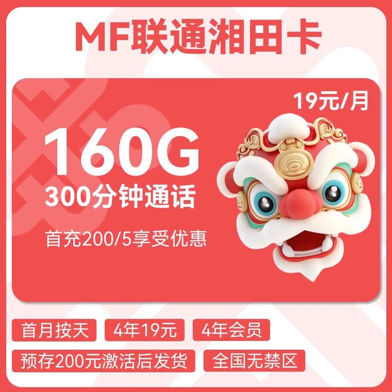 联通卡19元60g通用 100g湖南通用 300分钟 4年会