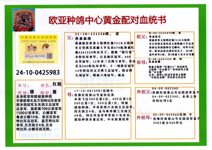 特比环亚军詹森冬日男孩338x泰山号近亲981