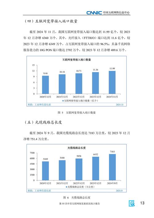 第55次中国互联网络发展状况统计报告