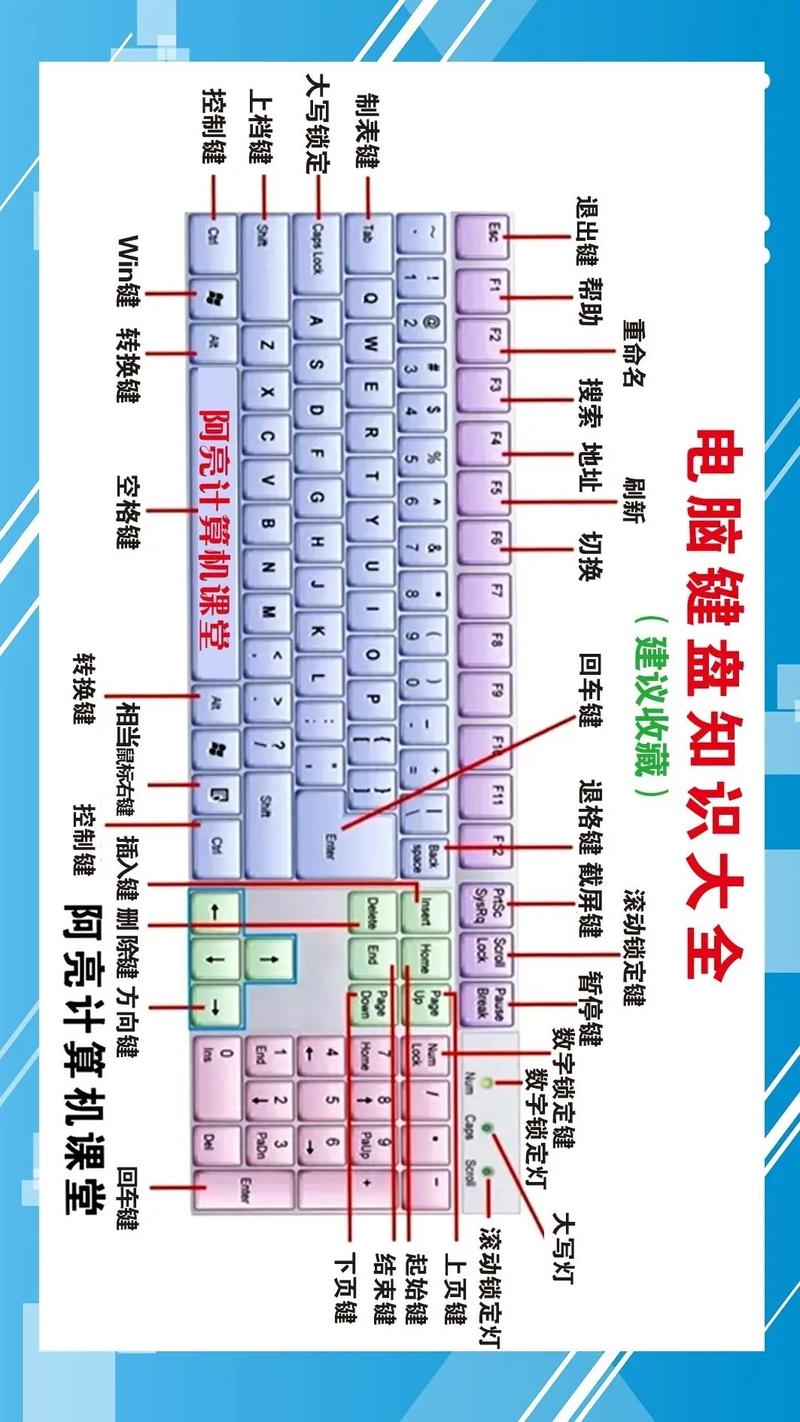 电脑基础知识word excel办公技巧
