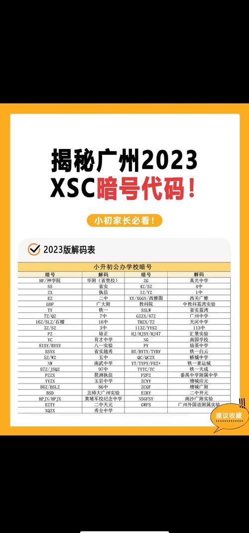 广州小升初暗号指南