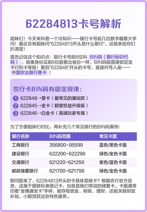 手机卡号：全面解析与实用指南