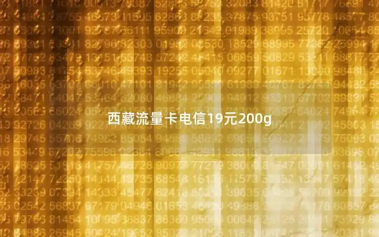 西藏流量卡电信19元200g