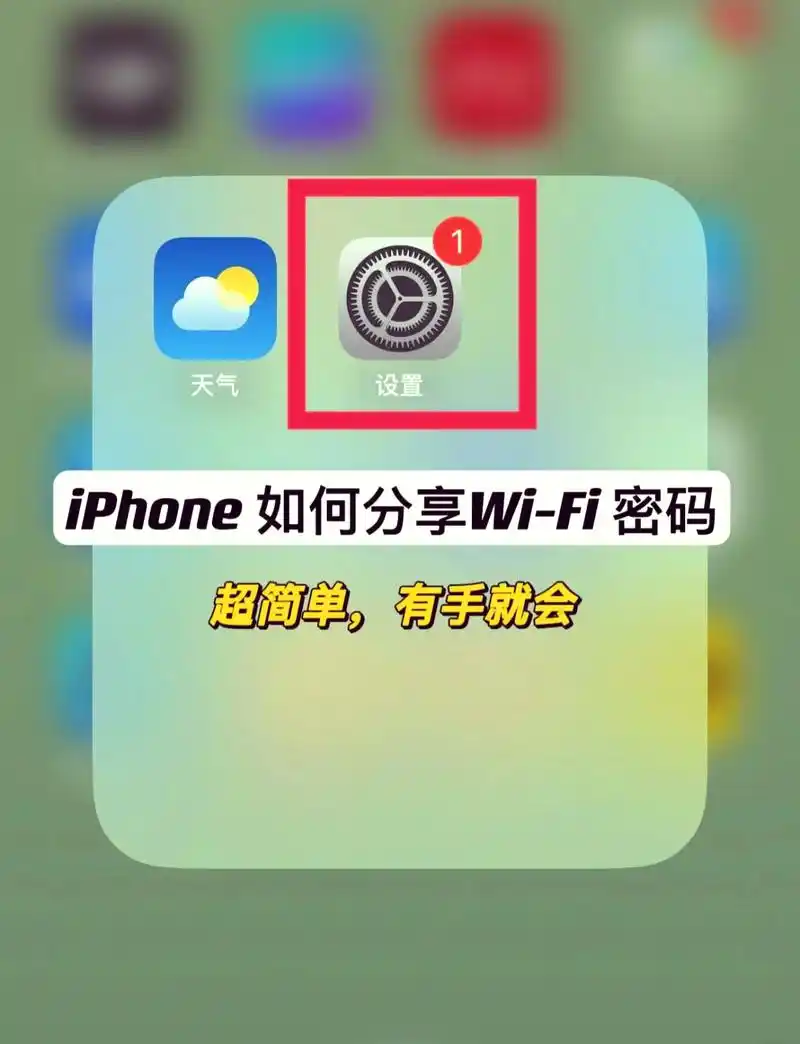接着点击已连接的wifi网络然后找到并点击密码这