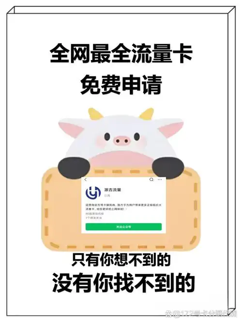 手把手教你避坑攻略 最近总有人问流量卡线上咋申请其实真没想象中
