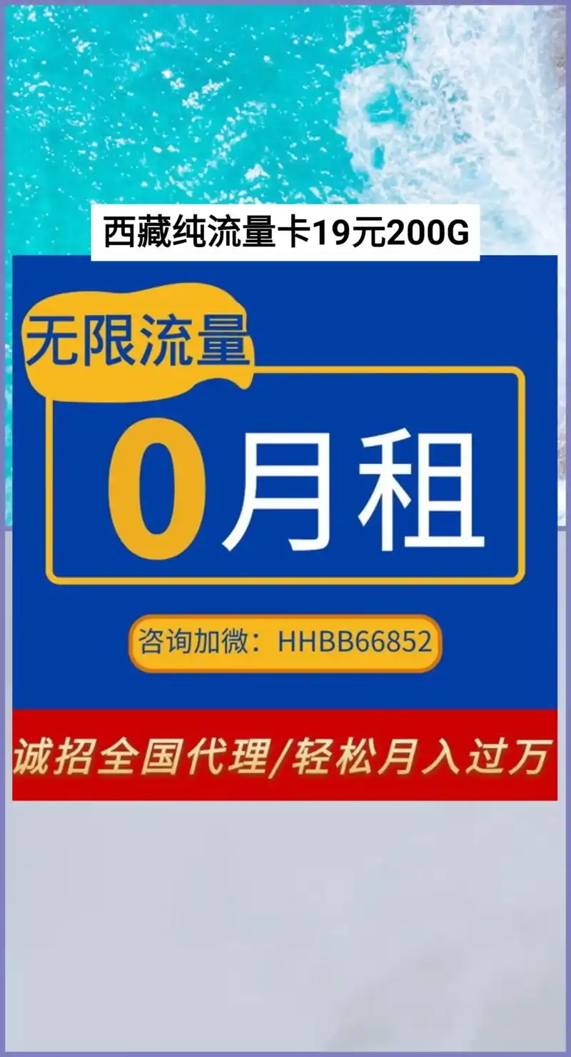 西藏纯流量卡19元200g西藏纯流量卡19元200g西藏