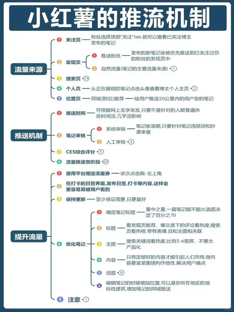 小红书流量推荐机制和规则玩法干货分享 每天学习一点点