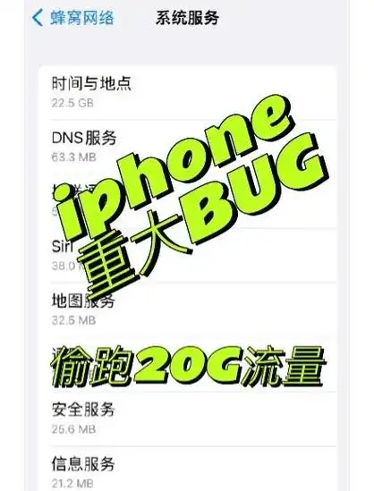 5系统后手机竟然出现了流量异常消耗的问题
